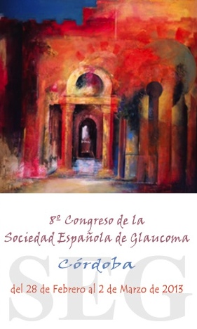 8º CONGRESO DE LA SOCIEDAD ESPAÑOLA DE GLAUCOMA